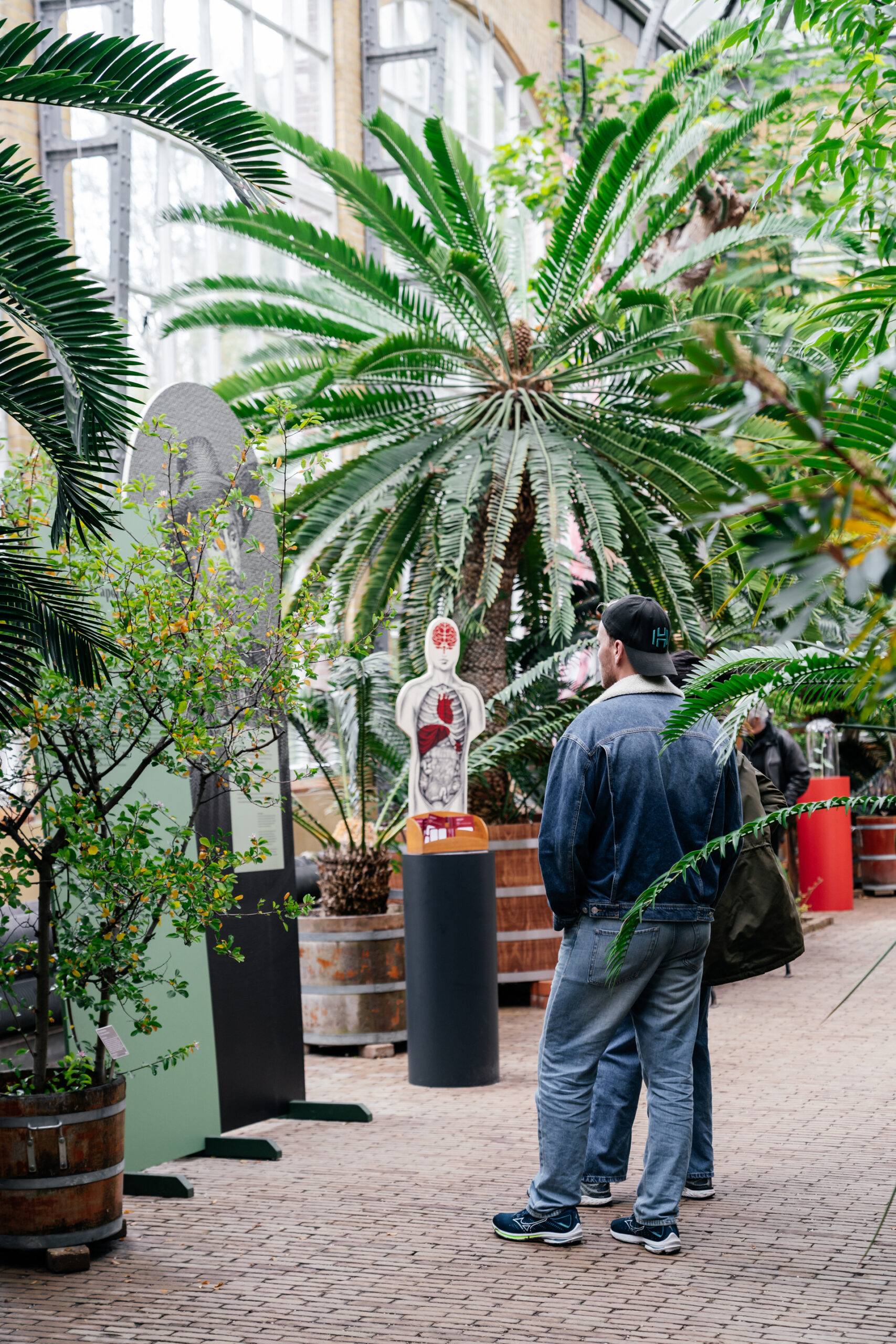 HortusBotanicus-45-1