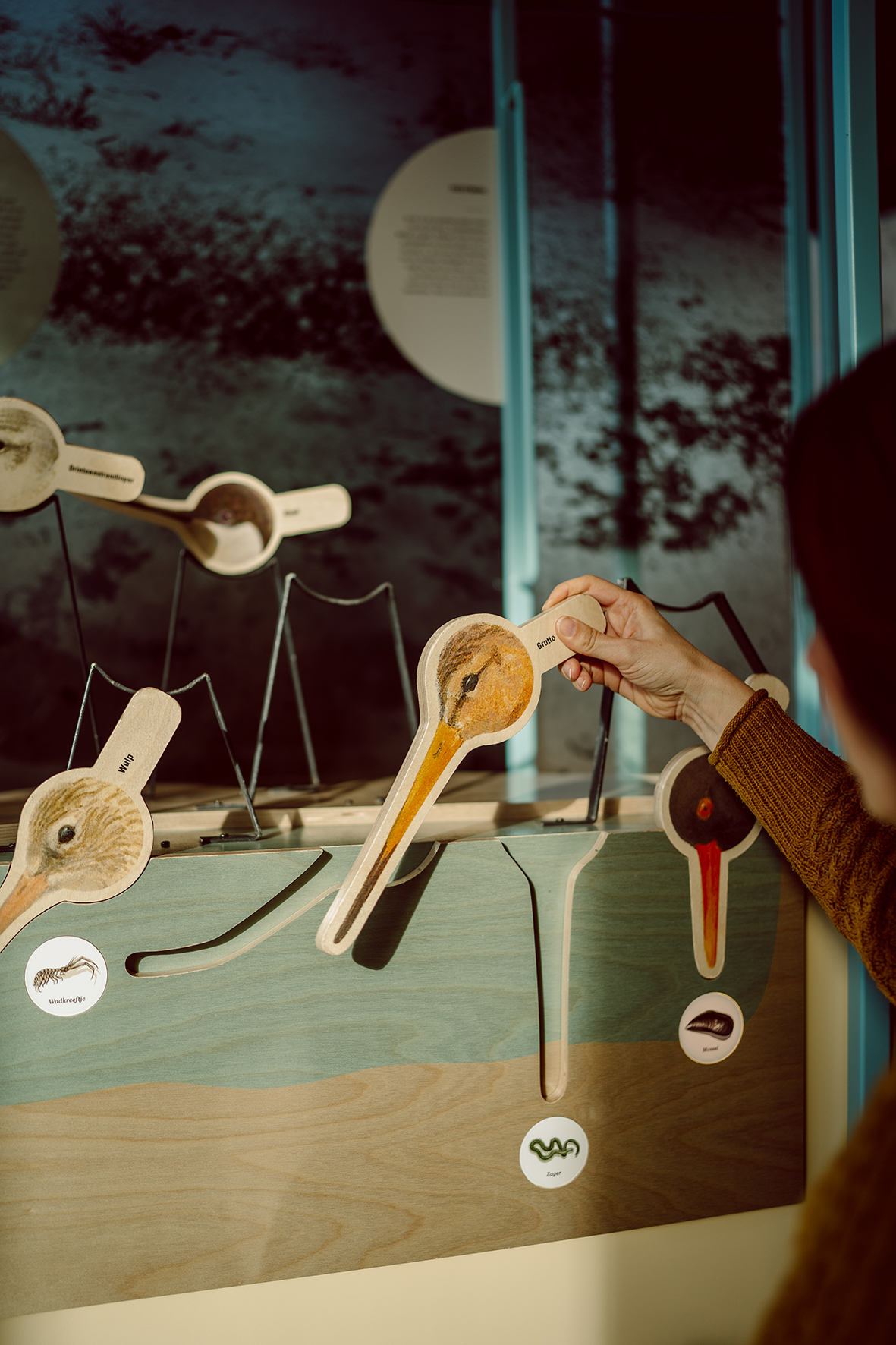 Nena_Studio_Stoks_ZHL_Bezoekerscentrum_Tenellaplas_2024-35_kl