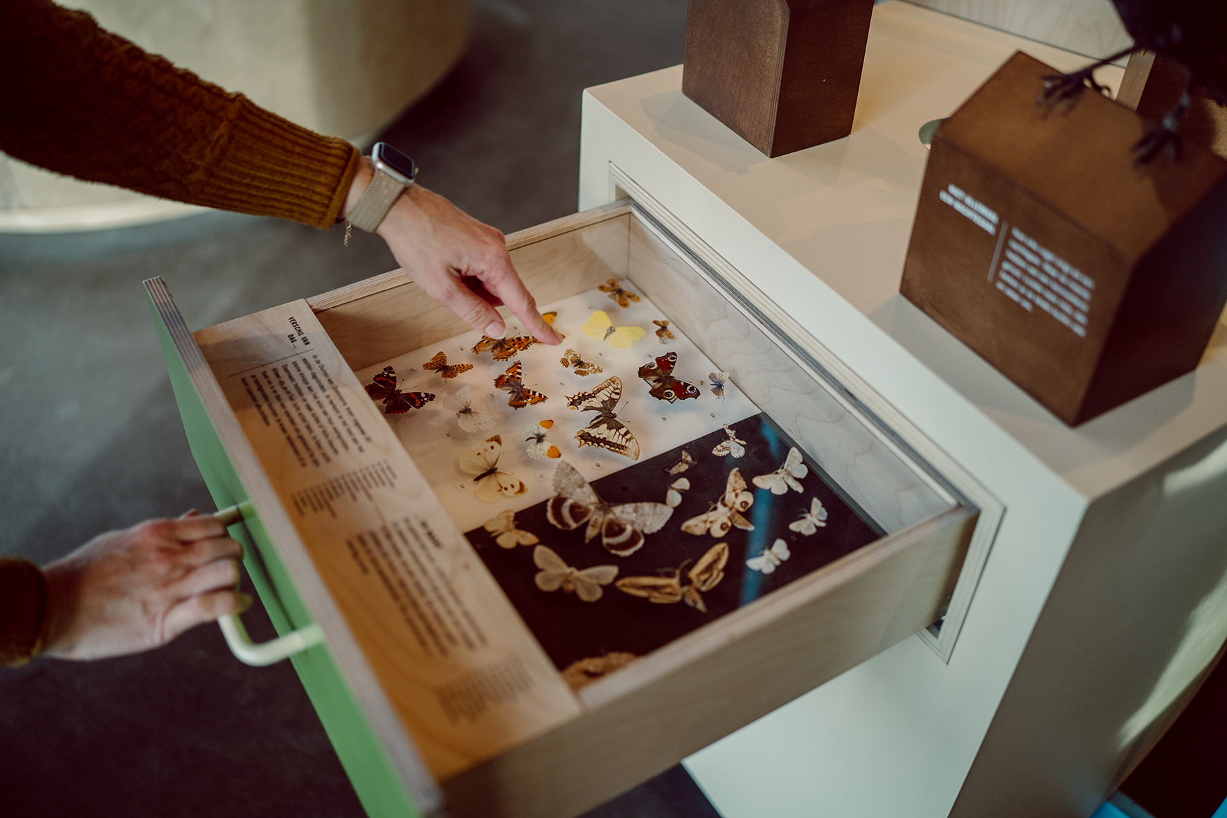Nena_Studio_Stoks_ZHL_Bezoekerscentrum_Tenellaplas_2024-37_kl